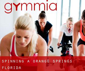 Spinning a Orange Springs (Florida)