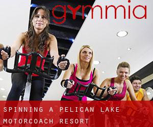 Spinning a Pelican Lake Motorcoach Resort