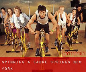 Spinning a Sabre Springs (New York)