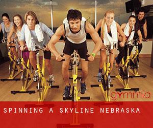 Spinning a Skyline (Nebraska)