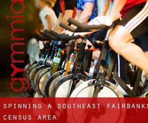 Spinning a Southeast Fairbanks Census Area
