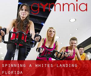 Spinning a Whites Landing (Florida)
