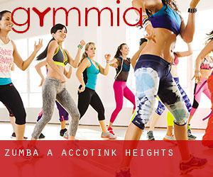 Zumba a Accotink Heights