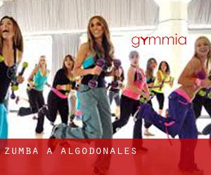 Zumba a Algodonales