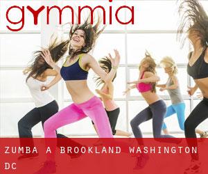 Zumba a Brookland (Washington, D.C.)