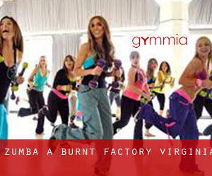 Zumba a Burnt Factory (Virginia)