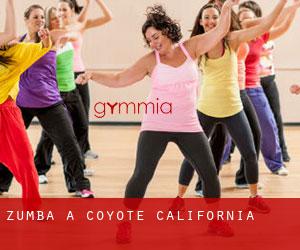 Zumba a Coyote (California) Zumba a Coyote (California)