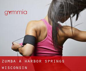 Zumba a Harbor Springs (Wisconsin)