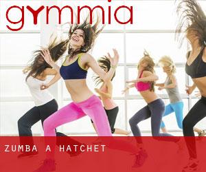 Zumba a Hatchet Zumba a Hatchet