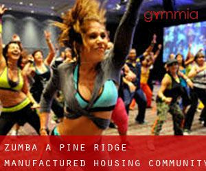 Zumba a Pine Ridge Manufactured Housing Community