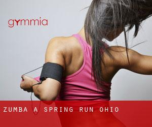 Zumba a Spring Run (Ohio)