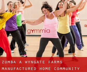 Zumba a Wyngate Farms Manufactured Home Community