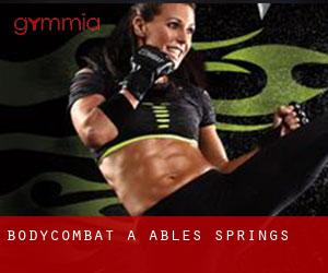 BodyCombat a Ables Springs