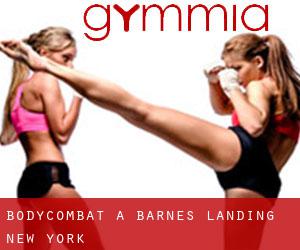 BodyCombat a Barnes Landing (New York)