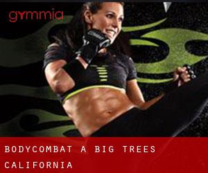 BodyCombat a Big Trees (California)