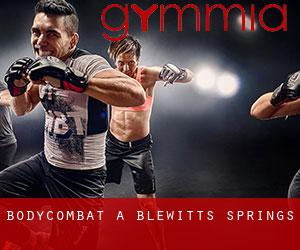 BodyCombat a Blewitts Springs