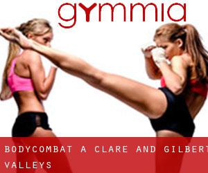 BodyCombat a Clare and Gilbert Valleys