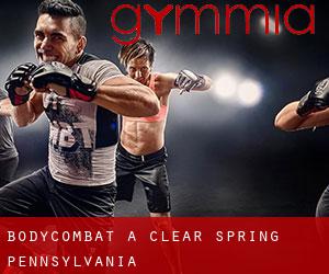BodyCombat a Clear Spring (Pennsylvania) BodyCombat a Clear Spring (Pennsylvania)