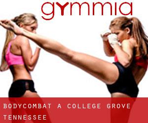 BodyCombat a College Grove (Tennessee)