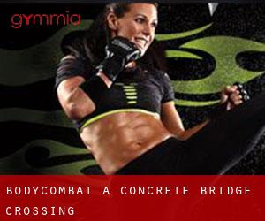 BodyCombat a Concrete Bridge Crossing