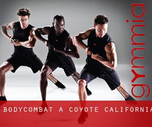 BodyCombat a Coyote (California) BodyCombat a Coyote (California)