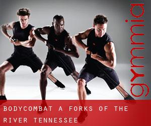 BodyCombat a Forks of the River (Tennessee)