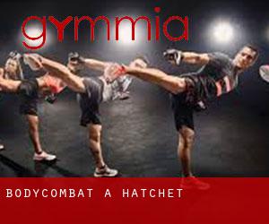 BodyCombat a Hatchet BodyCombat a Hatchet