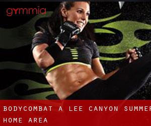 BodyCombat a Lee Canyon Summer Home Area