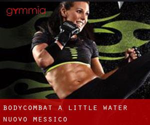 BodyCombat a Little Water (Nuovo Messico)