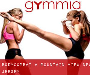 BodyCombat a Mountain View (New Jersey)
