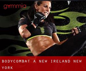 BodyCombat a New Ireland (New York)
