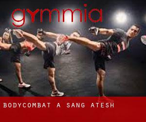 BodyCombat a Sang Atesh BodyCombat a Sang Atesh