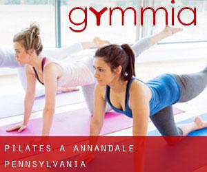 Pilates a Annandale (Pennsylvania)