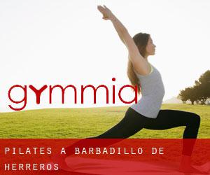 Pilates a Barbadillo de Herreros