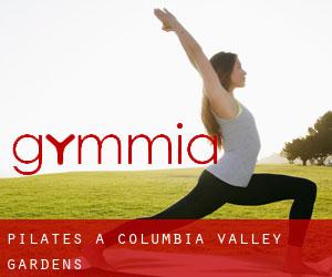 Pilates a Columbia Valley Gardens