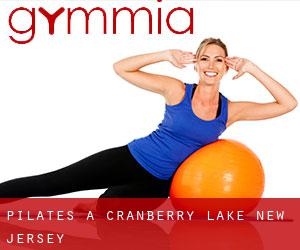 Pilates a Cranberry Lake (New Jersey)