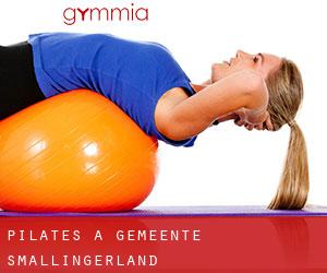 Pilates a Gemeente Smallingerland