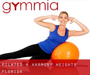 Pilates a Harmony Heights (Florida)