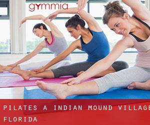 Pilates a Indian Mound Village (Florida)