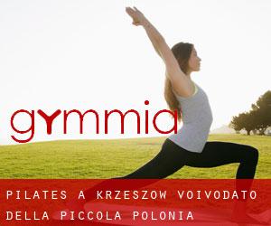 Pilates a Krzeszów (Voivodato della Piccola Polonia)