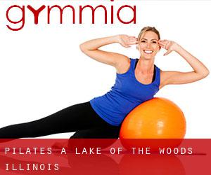 Pilates a Lake of the Woods (Illinois)