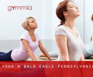 Yoga a Bald Eagle (Pennsylvania)