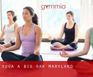 Yoga a Big Oak (Maryland)