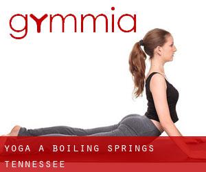 Yoga a Boiling Springs (Tennessee)