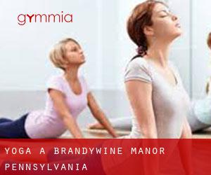 Yoga a Brandywine Manor (Pennsylvania)