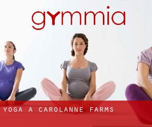 Yoga a Carolanne Farms