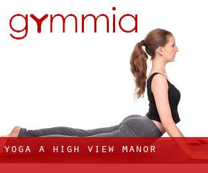Yoga a High View Manor