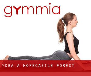 Yoga a Hopecastle Forest