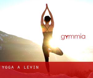 Yoga a Levin