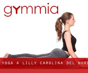 Yoga a Lilly (Carolina del Nord)